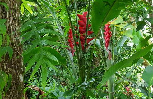 Maluhia Kahakai 2 Bedroom Condo by RedAwning - Foto 88