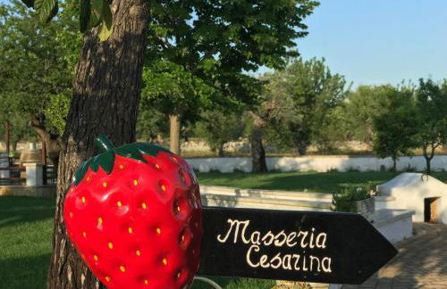 Masseria Cesarina B&B - Foto 27