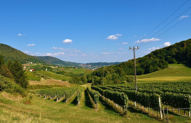 Pool Villa Silva Marija - App 102 - Foto 15