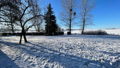 Good Vibes Oase - Foto 5