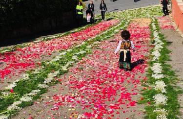 Home Green - Foto 29