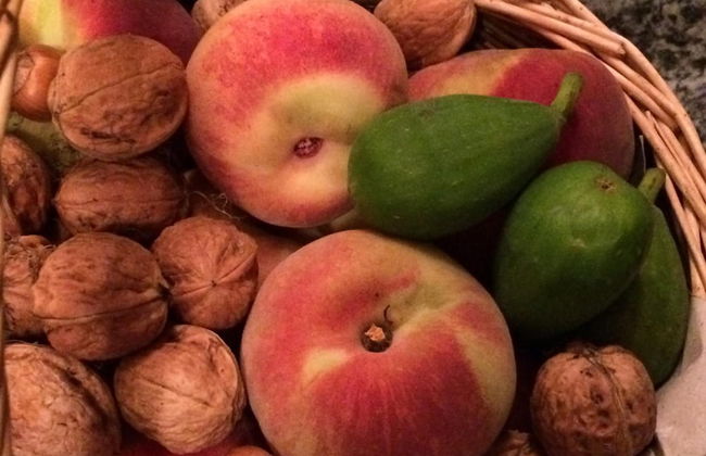 B&B Verger Plein Soleil - Foto 52