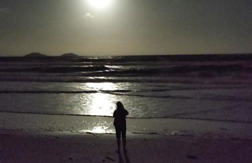 Apartamento 103 Praia do Ervino - SFS - Photo 42