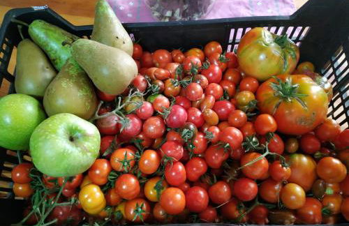 Casa dos ánxeles VUT-OR-1310 - Foto 32