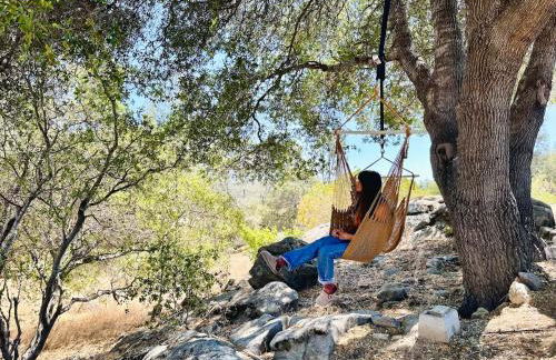 Yosemite & Bass Lake 3 Acres, Pool, Game Room, Stunning Views - Foto 39