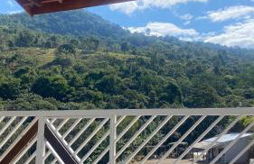 Chácara Recanto da Paz - Photo 43