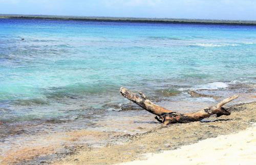 Villa de la Luz - Photo 39