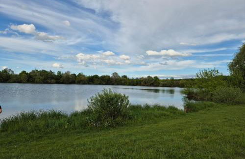 Le chalet du bord de Saône - Foto 41