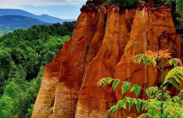 Location gîte campagne en Provence - Vaucluse - Photo 19