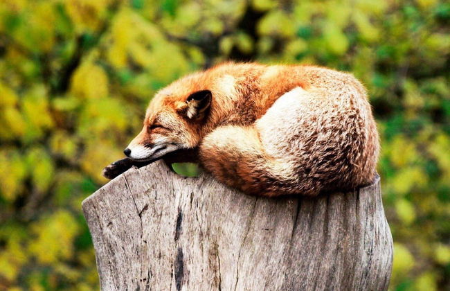 3 Person Holiday Home in Henan-by Traum - Foto 24