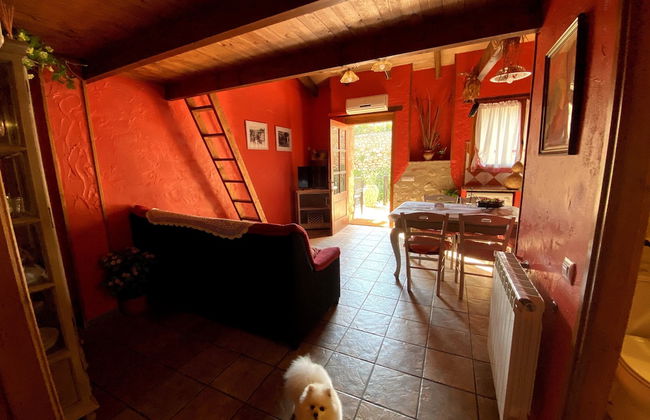 Lo Racó de Peret - Foto 77