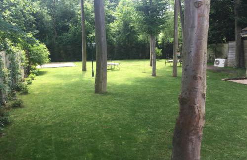 Rose Garden Studio - Foto 4