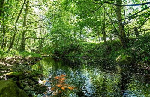 South Lodge, Twizell Estate - Foto 29