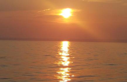 Apartment Lavanda garden - Foto 36