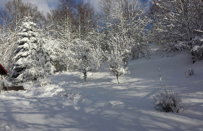 Holiday Home Rudnik Near Ski Lift - Foto 20