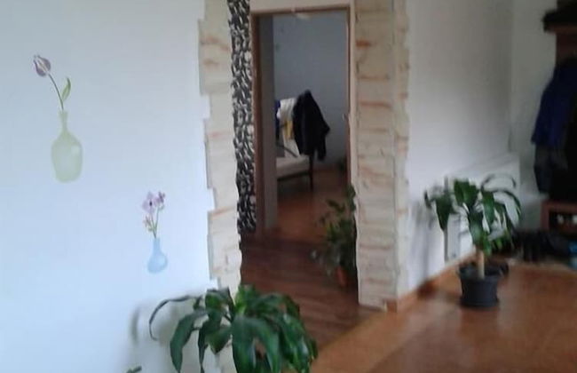 Apartmany Halex 3 - Foto 1