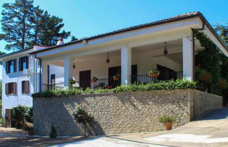 Villa Curcio casa vacanze - Photo 4