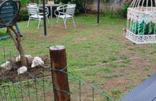 Casa Raposeira - Foto 1