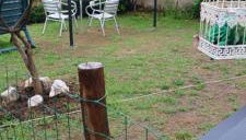 Casa Raposeira - Foto 1