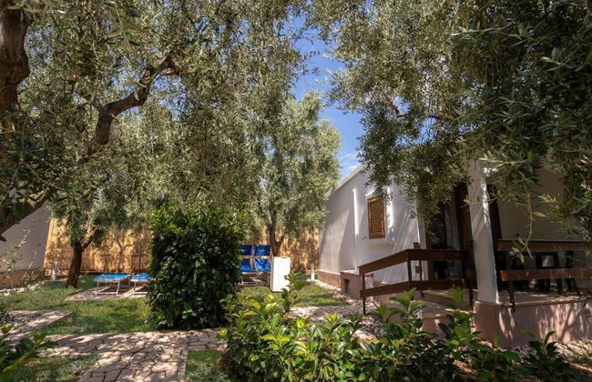 Holiday Apartment "orchidea" With Swimming Pool and Private Beach -2 - Foto 50