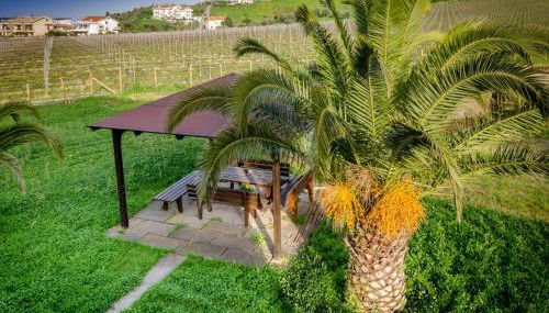 Agriturismo Agrimare Barba - Foto 5, Garden, Garden view