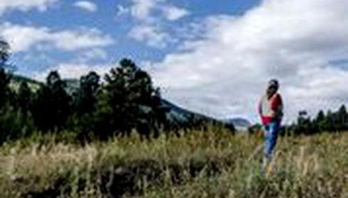 Create Lasting Memories: Family-Friendly Rustic Cabin in New Mexico's Backcountry - Foto 4