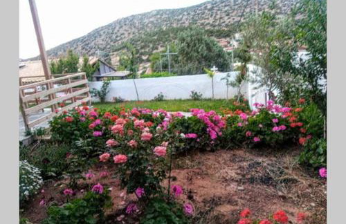 Lagonisi MAGIC HOME RELAXATION - Foto 18