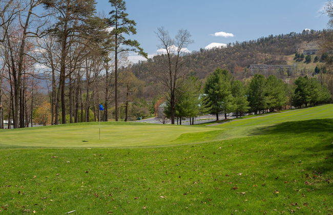 Massanutten's Woodstone Meadows by Tripforth - Foto 69