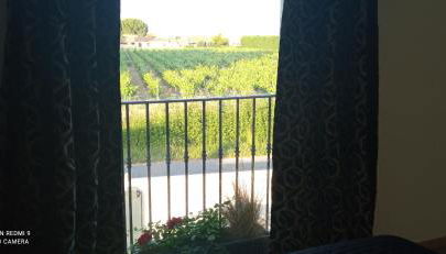 Appartement neuf et moderne au cœur de la Camargue - Foto 2