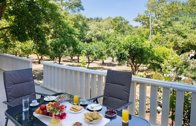 Panethimos House in Nature - Foto 16