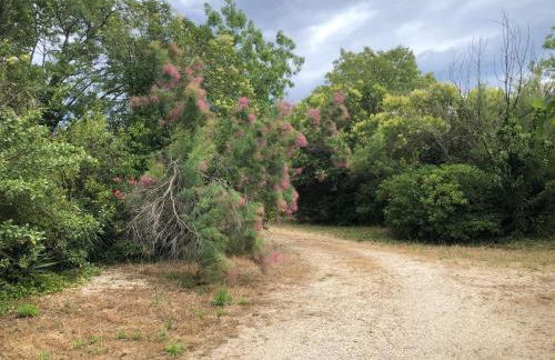 La Source - Photo 40