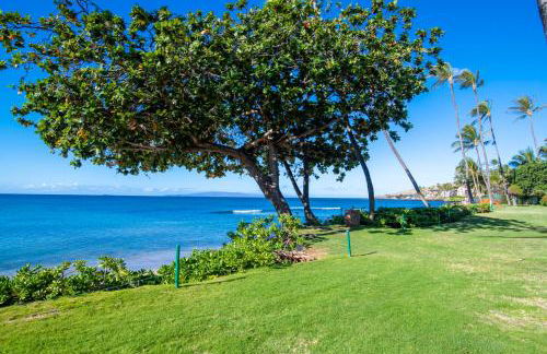 Kanai A Nalu 214 - Foto 35