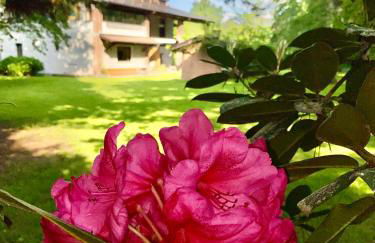 Villa Giulia - Argentera - Foto 60