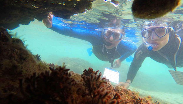 Snorkel en playa Porto dos Frades