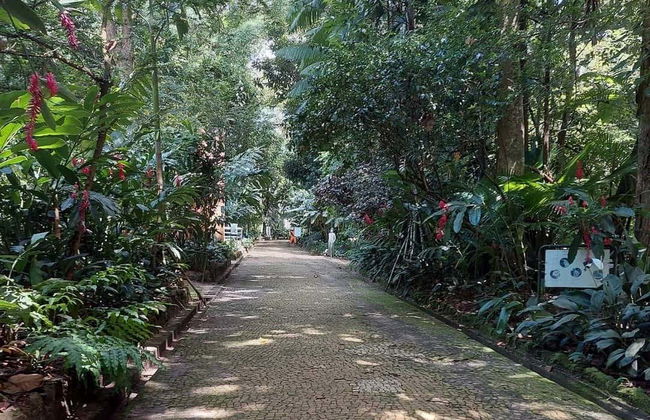 Tour por los parques amazónicos de Belén - Foto 7