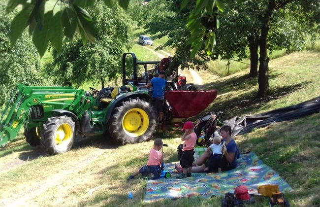 Holiday Apartment Ferienhof Benz - Foto 19