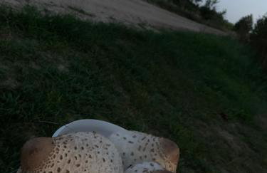 Chatka Baby Agi - Foto 45