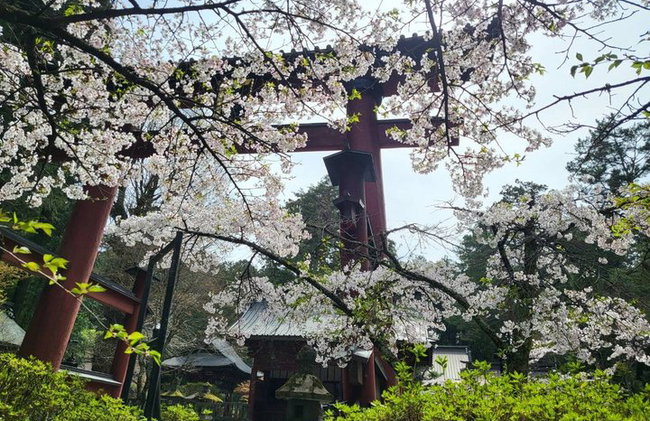Tour privato in auto al Monte Fuji da Tokyo - Foto 16