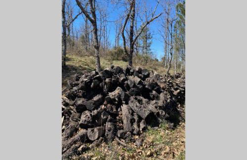 El Refugio de San Pablo de los Montes - Foto 7