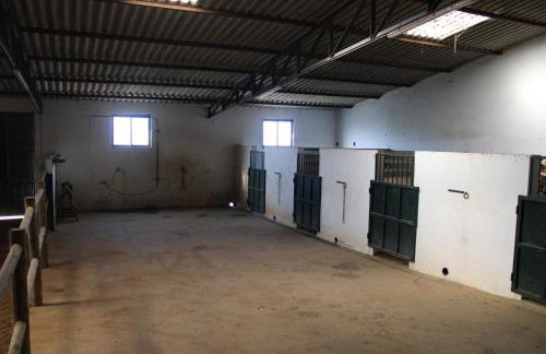 Herdade da Boavista - Foto 46