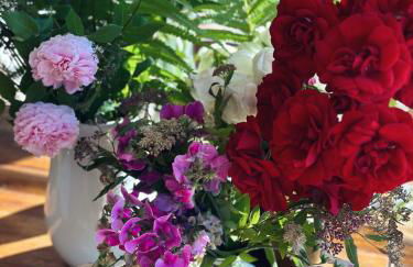 Abrahams Bayr Cottage - Foto 42