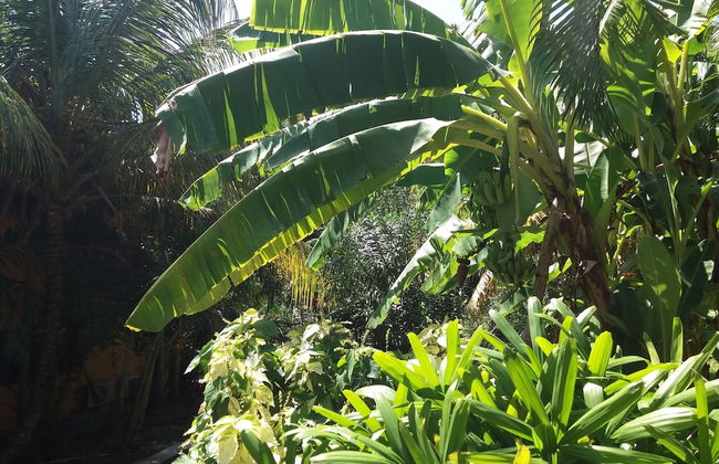 Condo Del Cielo - Foto 58