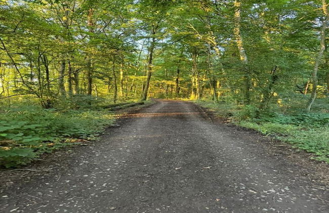 Completely Renovated House near Durbuy - Foto 33