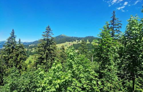 Alpenherz Obermaiselstein - Photo 37