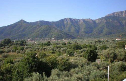 Nestor Apartments - Foto 53