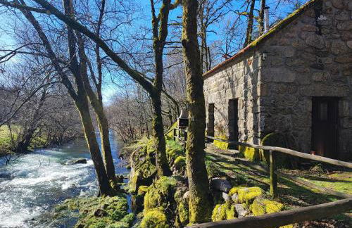 Moinhos do Poço Verde - Foto 4