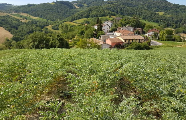 Agriturismo di Sordiglio - Photo 25