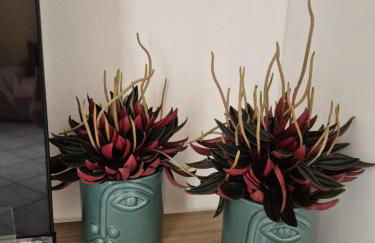 A casa di Nonna - Foto 7