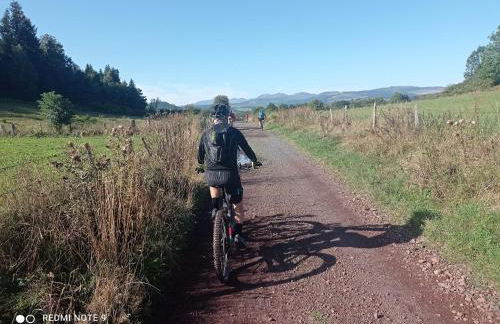 Chalet des fontaines claires - Foto 30