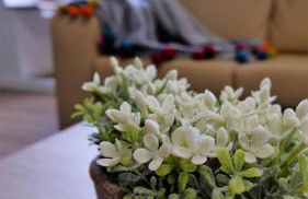 O Cantinho do Colégio - Dourocollege - Foto 20